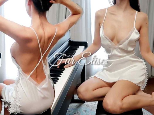 致爱丽丝 - 贝多芬 - 皮草爱丽丝 | 钢琴罩
